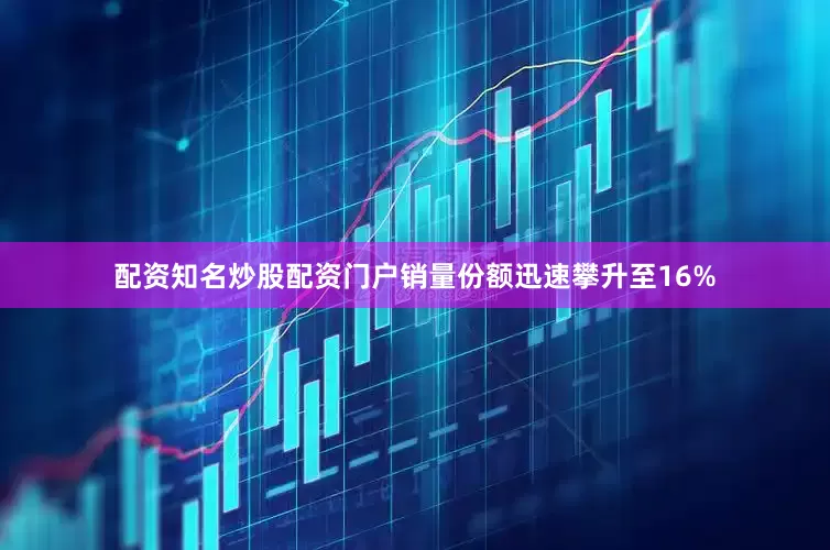 配资知名炒股配资门户销量份额迅速攀升至16%