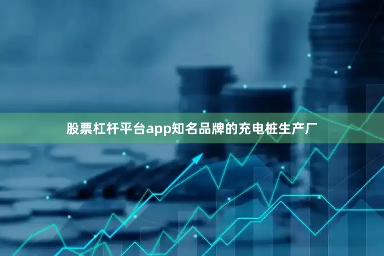 股票杠杆平台app知名品牌的充电桩生产厂